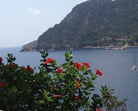 Pine Hill Marmaris Aparthotel İçmeler