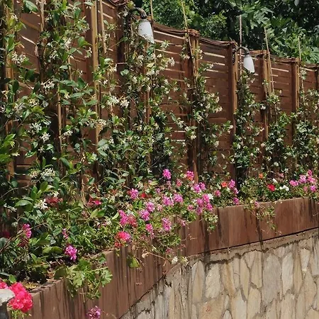 Pine Hill Marmaris Aparthotel *