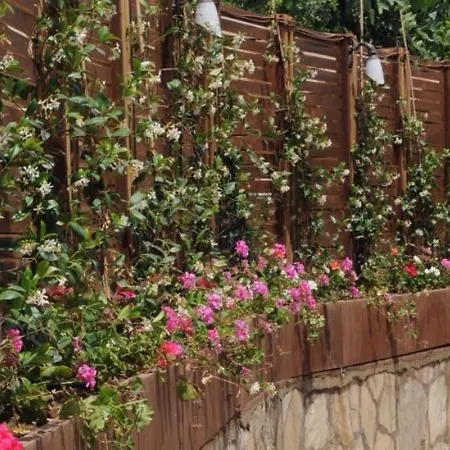 Pine Hill Marmaris 伊丘美勒