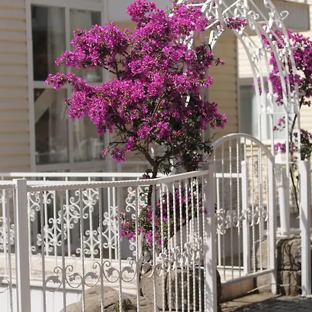 Pine Hill Marmaris 公寓式酒店