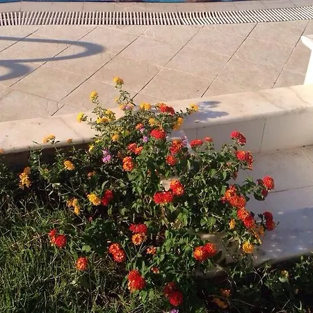 Pine Hill Marmaris İcmeler